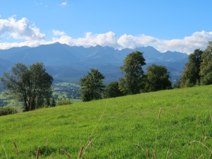 Widok na Tatry z Gliczarowa Górnego