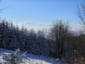 W drodze na Dzwonkówkę - widok na Tatry