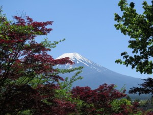 Fuji