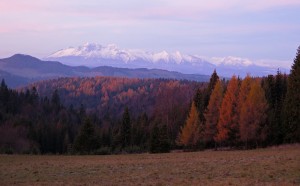 Wschód Słońca na Obidzy