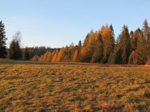 Polana Litawcowa w jesiennej szacie