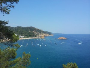 Tossa de mar