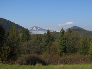 Szlachtowa - Wysoki Wierch - Plašná - Leśnica - Szczawnica