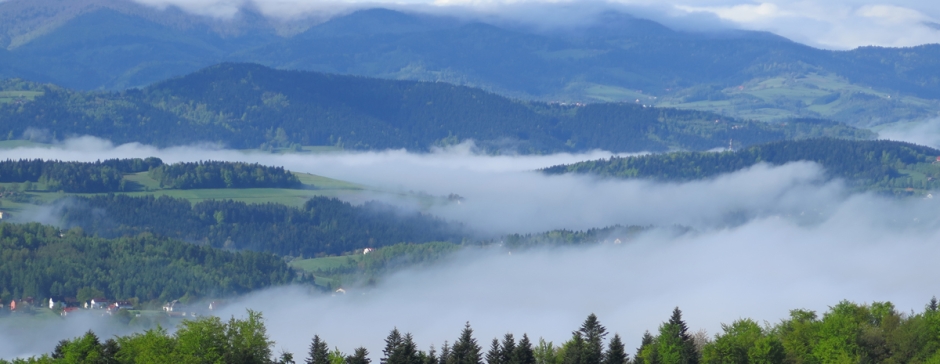 Cieniawa - Rosochatka - Jodłowa Góra - Nowy Sącz