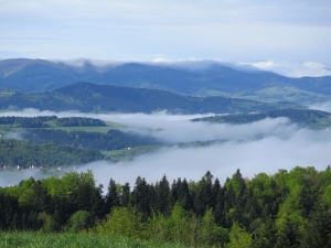 Cieniawa - Rosochatka - Jodłowa Góra - Nowy Sącz