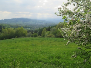 Grybów - Wawrzka - Klimkówka