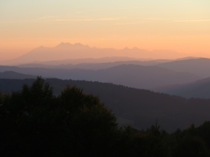 Do Bacówki nad Wierchomlą ze Szczawnika