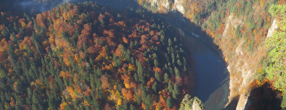 Sokolica z Krościenka nad Dunajcem