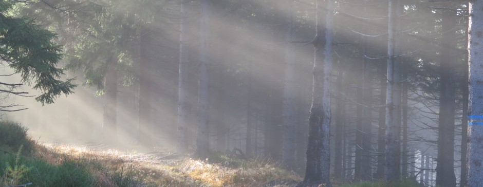 Na Jagodną z Bystrzycy Kłodzkiej