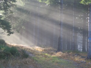 Na Jagodną z Bystrzycy Kłodzkiej