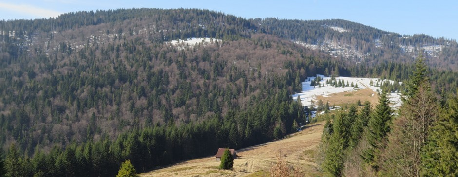 Do schroniska na Turbaczu z Lubomierza