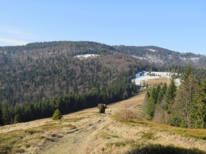 Do schroniska na Turbaczu z Lubomierza