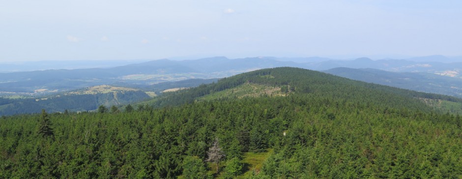 Na Wielką Sowę z Kamionek Dolnych