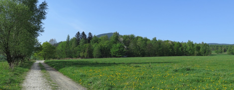 Śnieżnik ze Stronia Śląskiego