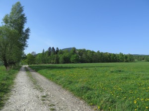 Śnieżnik ze Stronia Śląskiego