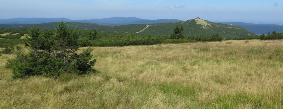 Ze Szrenicy do Karpacza