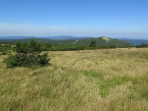 Ze Szrenicy do Karpacza