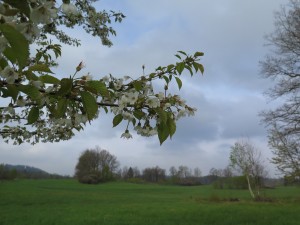 Na Skopiec z Trzcińska