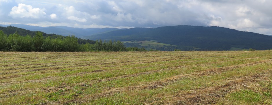 Z Kątów do Pustelni Św. Jana z Dukli