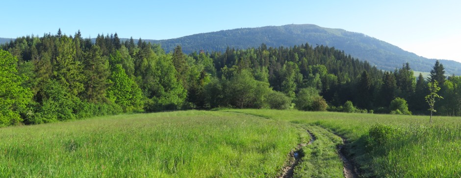 Na Luboń Wielki z Rabki-Zdrój