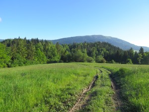 Na Luboń Wielki z Rabki-Zdrój