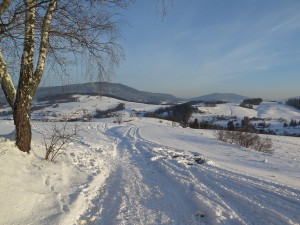 Z Rabki-Zdrój do Bacówki na Maciejowej