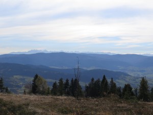 Mszana Dolna - Ćwilin - Przełęcz Gruszowiec