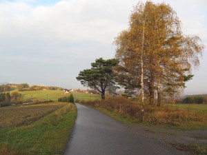 Grybów - Chełm - Florynka