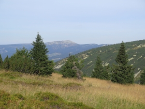 Na Krakonoš spod schroniska Śląski Dom