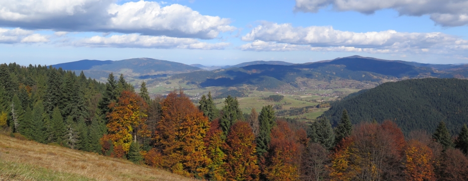 Koninki - Schronisko na Turbaczu - Turbaczyk - Koninki