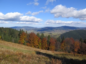 Koninki - Schronisko na Turbaczu - Turbaczyk - Koninki